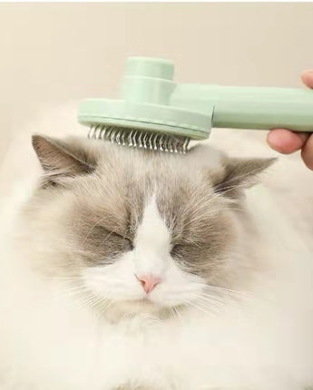 Pet Slicker Beauty Comb