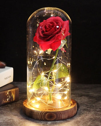 Beauty And The Beast Eternal Flower