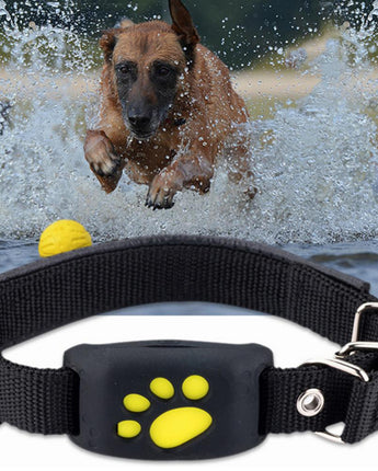 Pet GPS Tracker Collar