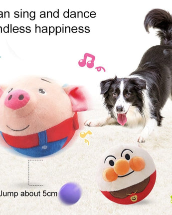 PetPalz: Interactive Talking Ball for Pets