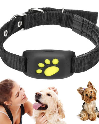 Pet GPS Tracker Collar