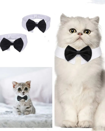 Cat Tuxedo Collar Black Dog Bow Tie