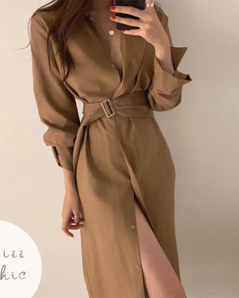 Chic Slim Fit Shirt Dress Office Ladies