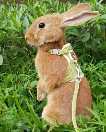 Newest Cute Rabbit Harness and Leash