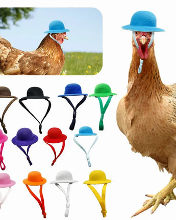 Chicken Hamster Hat for Hens